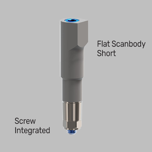 New Scanbody Short on gray